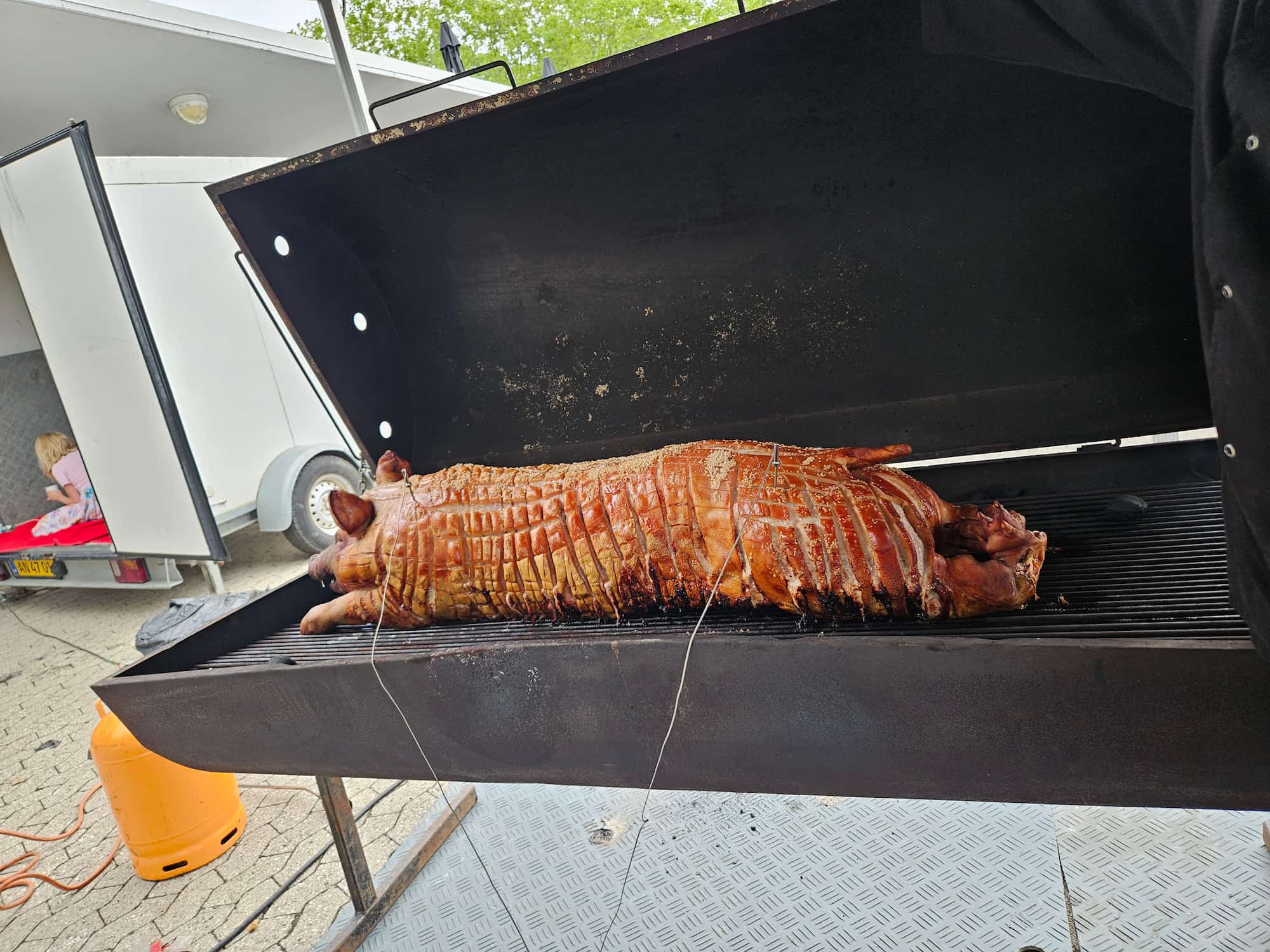 Gyldenstegt helstegt pattegris på grill