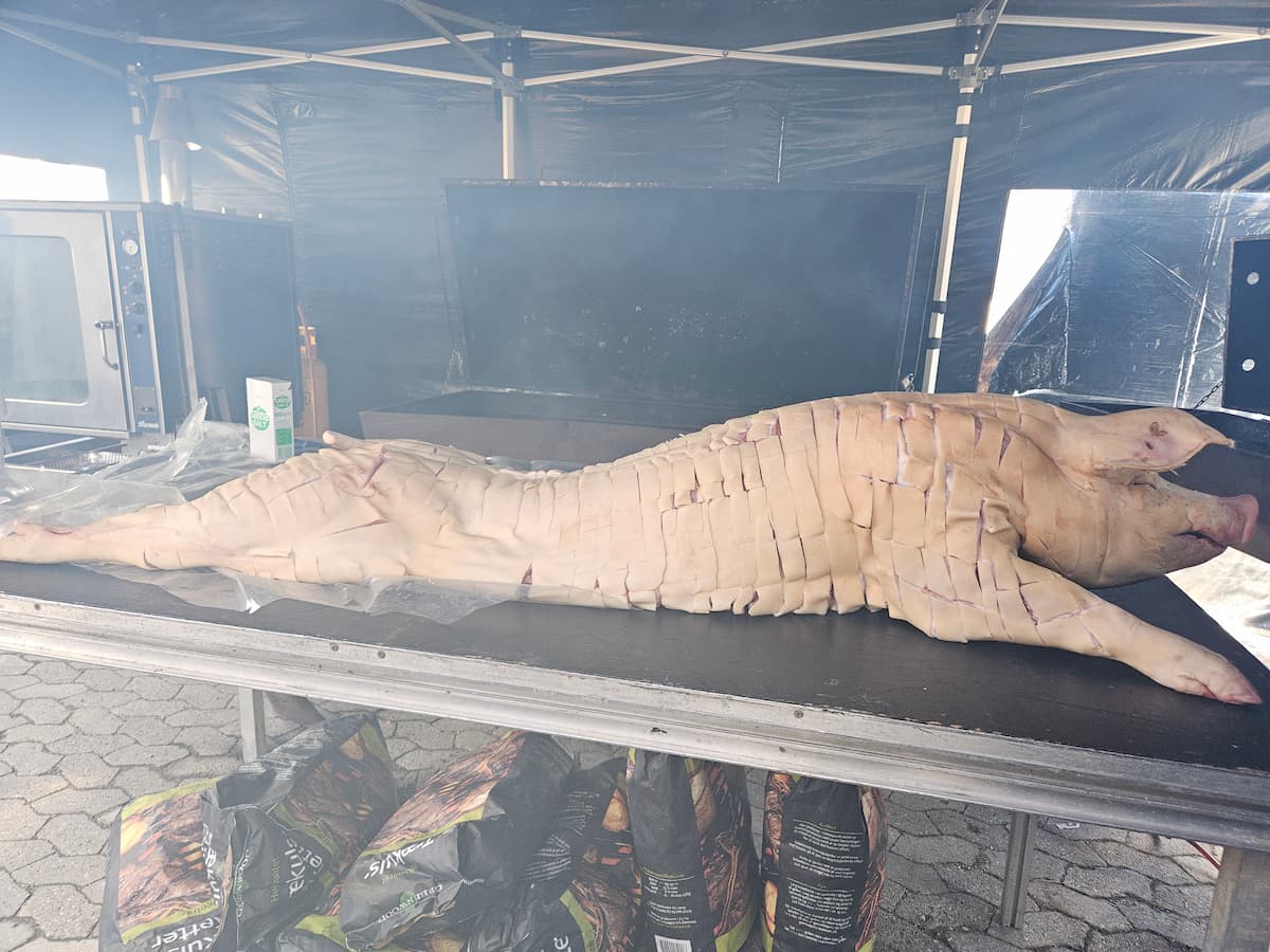 Pattegris klargjort før grillning