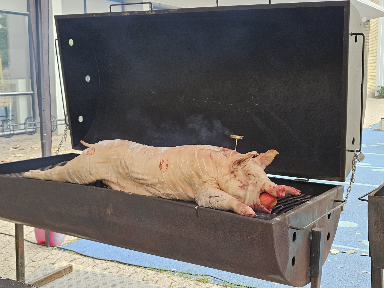 Pattegris steges på grillen